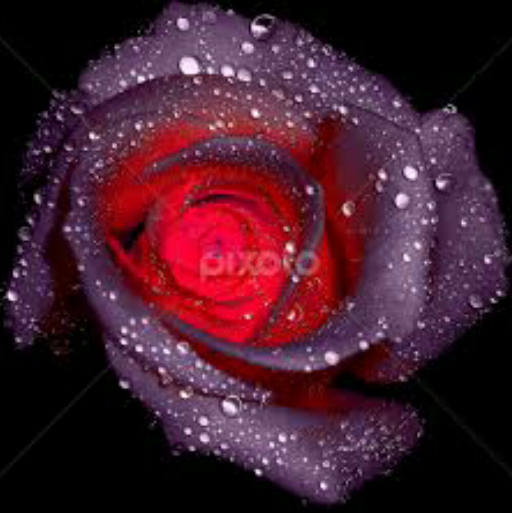Tunde John avatar picture