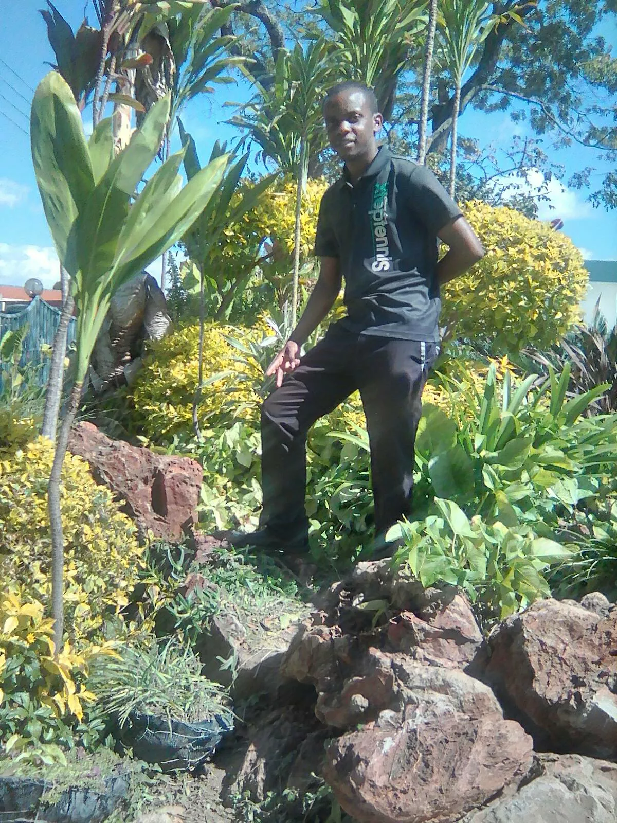 Batsirai Mutematsaka avatar picture