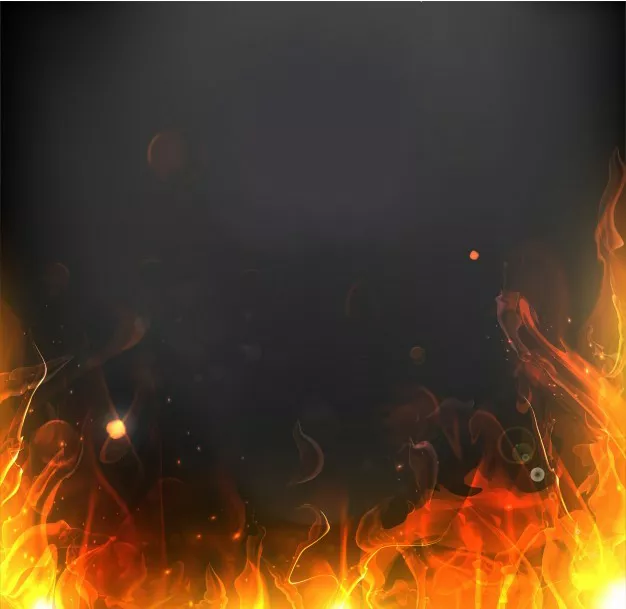 Toluwani Oluwafemi avatar picture