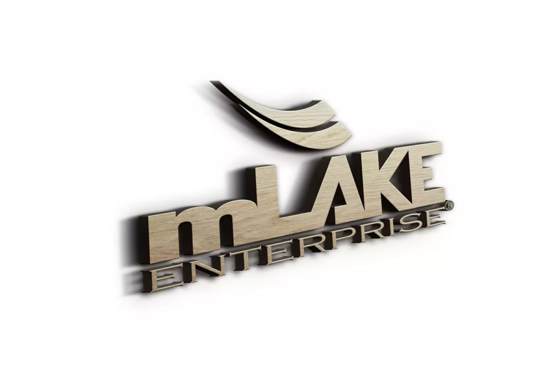 mLake Enterprise avatar picture