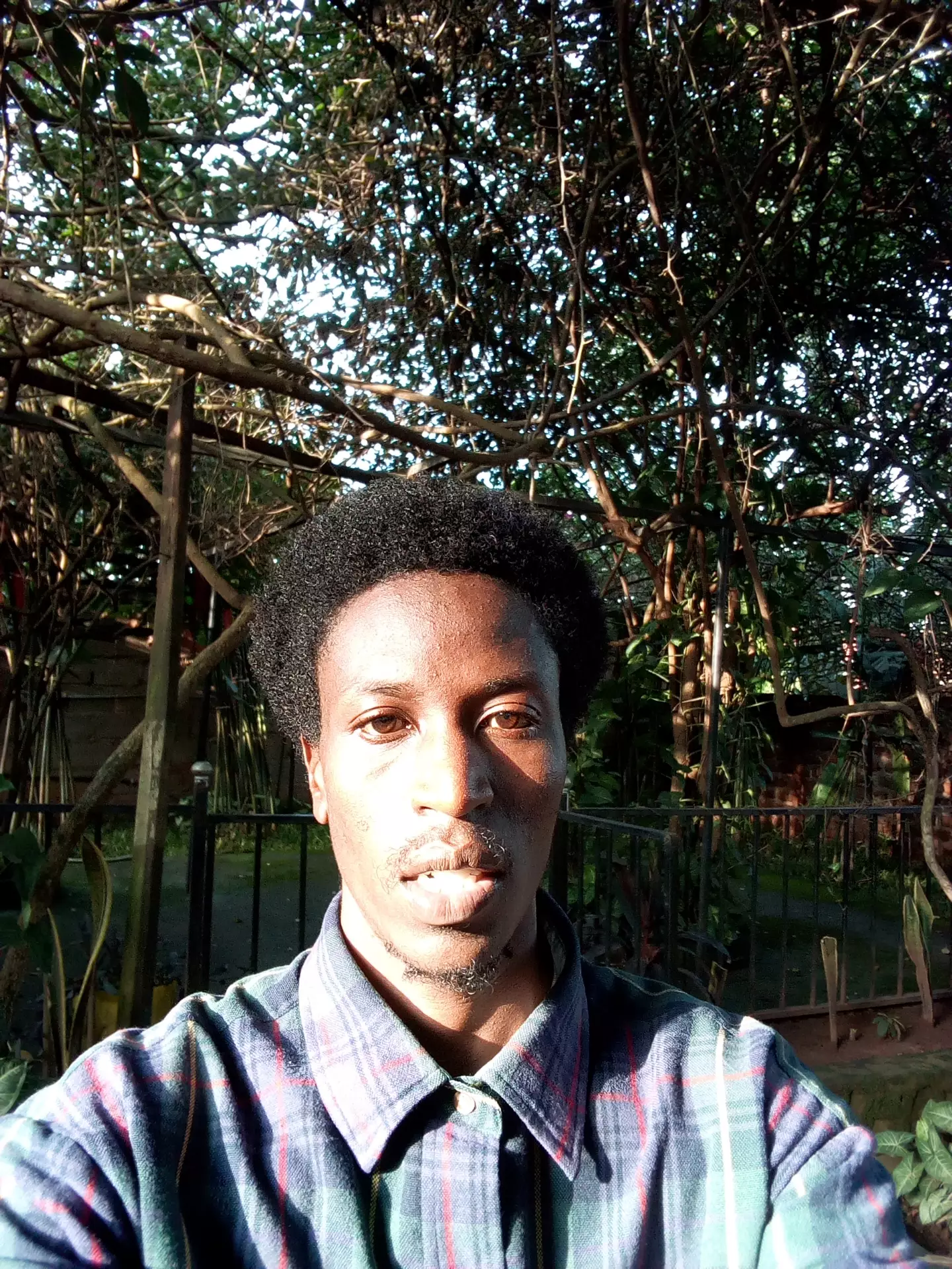 Arthur kuluba avatar picture