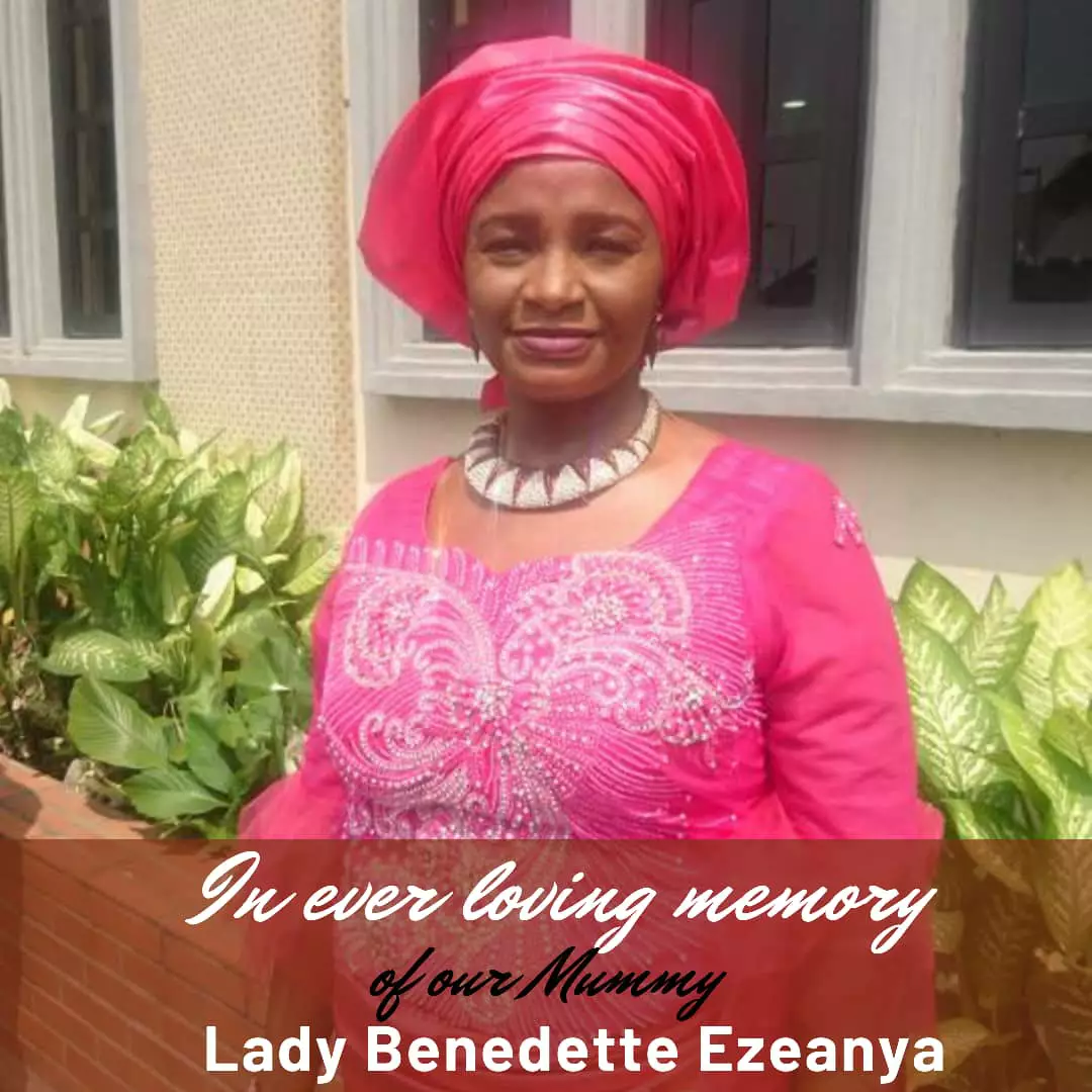 Gov Chinedu Ezeanya avatar picture