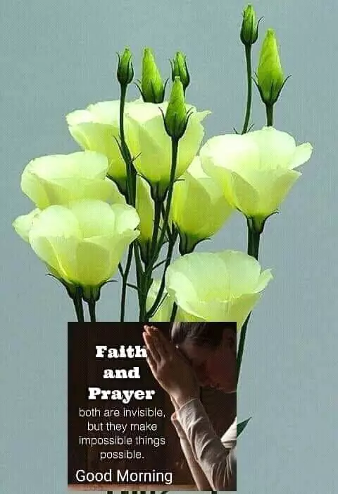 Koke Goodnews avatar picture