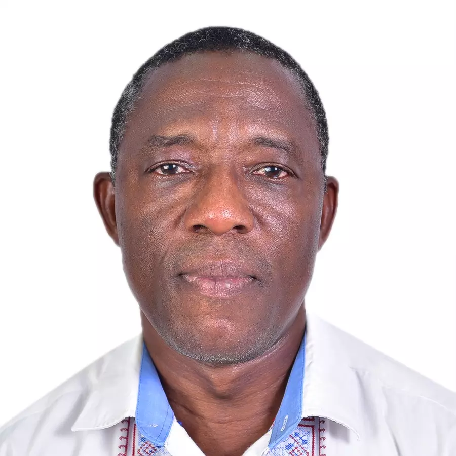 Thaddeus Ugboka avatar picture