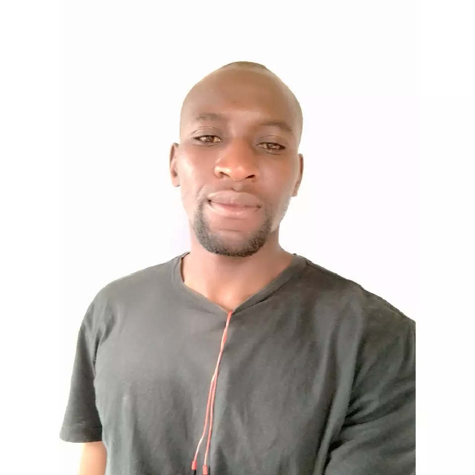 BR KUDZAYI LAYSON MPINGO avatar picture