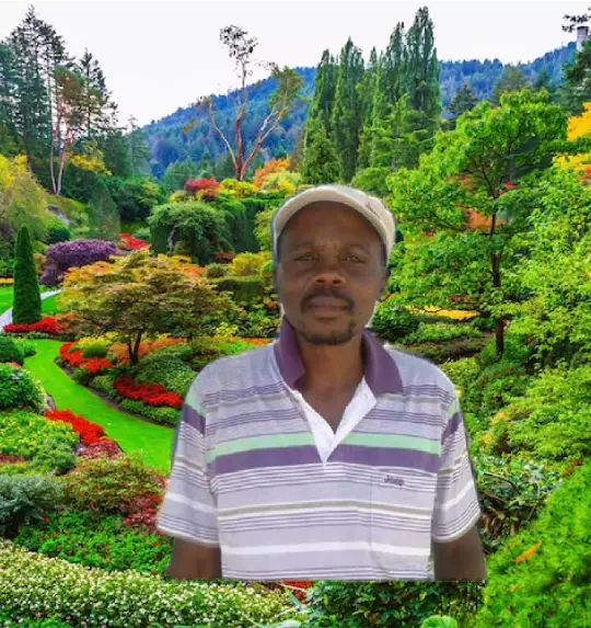 Phebion Mutopo avatar picture