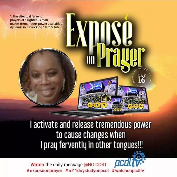 Donna Thompson avatar picture