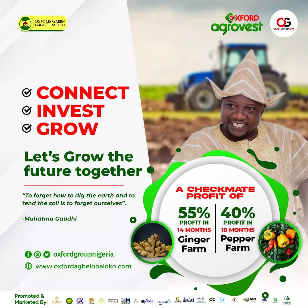 agnes olorunyomi avatar picture