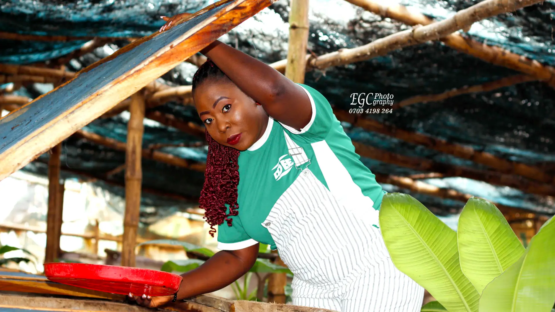Ddee Farms avatar picture