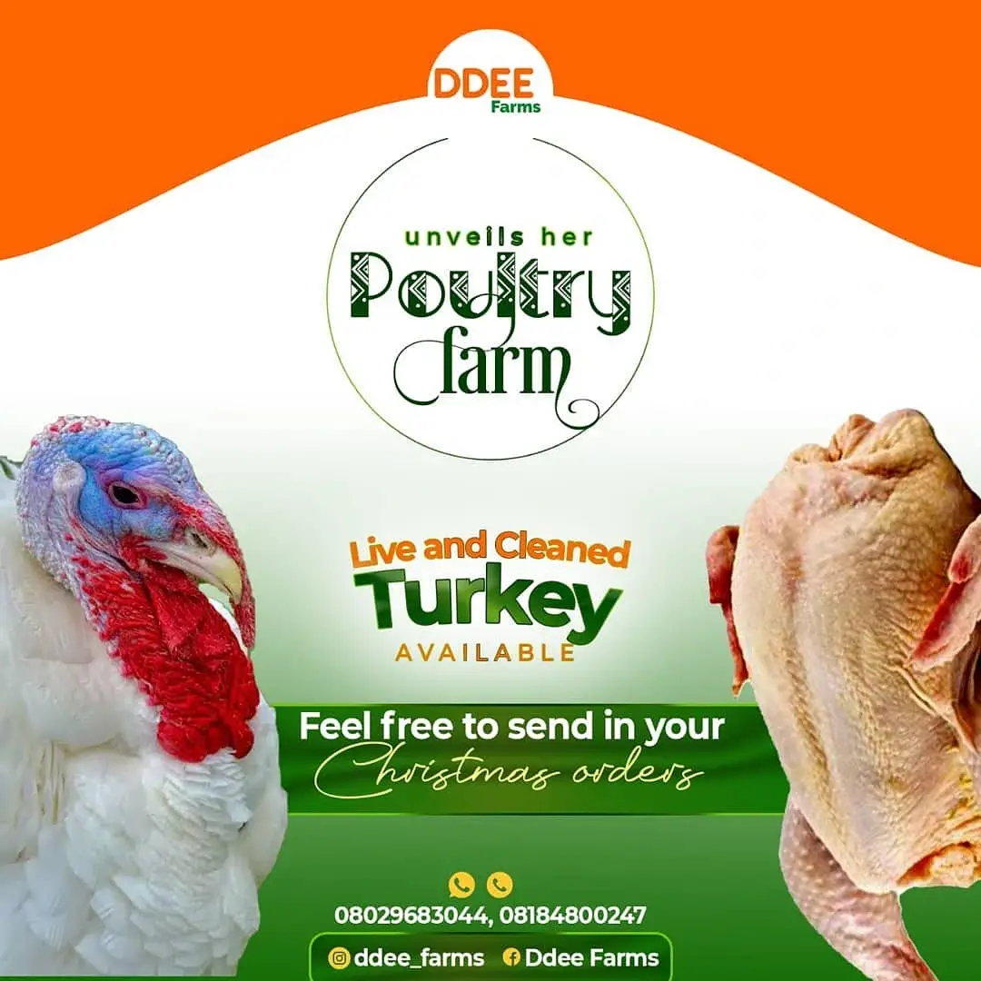 Ddee Farms avatar picture